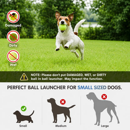 Doggo Joy-TurboFetch